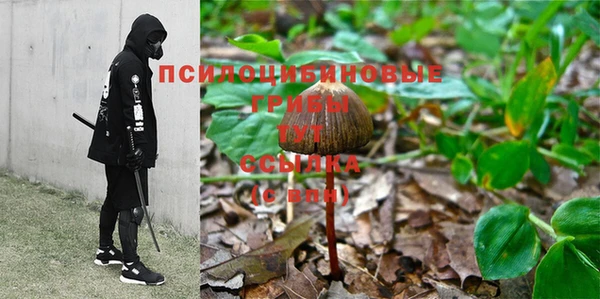 МДПВ Алексеевка