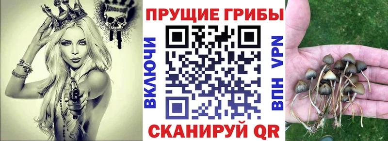 Псилоцибиновые грибы MAGIC MUSHROOMS  купить наркотики цена  Минусинск 