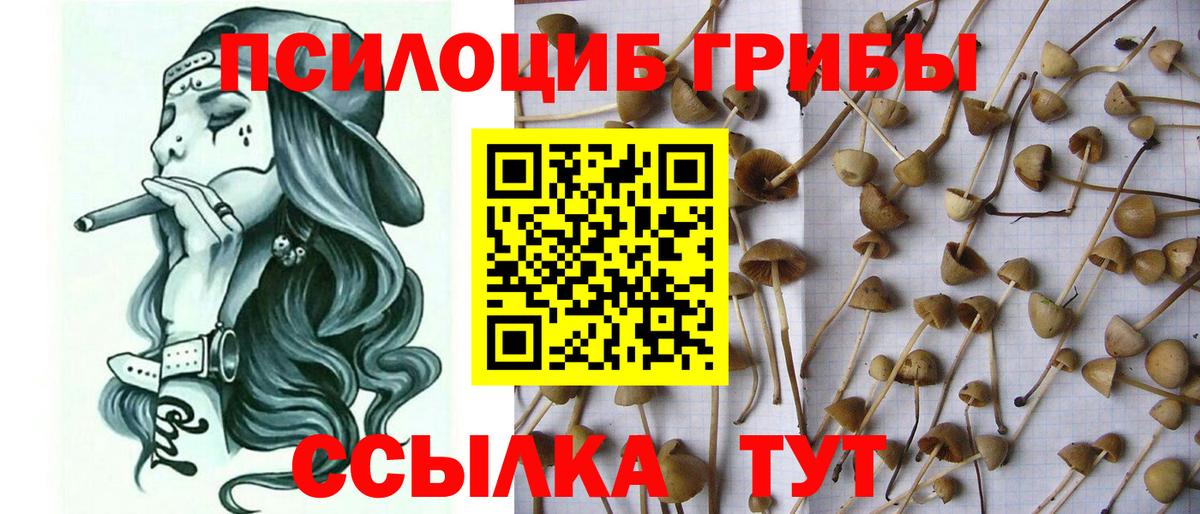 Галлюциногенные грибы MAGIC MUSHROOMS  Вход с VPN  Минусинск 